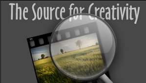 Web Design by Gifted Dogs